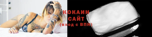 ГАЛЛЮЦИНОГЕННЫЕ ГРИБЫ Арсеньев