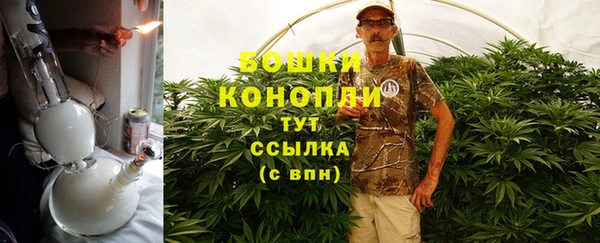 ГАЛЛЮЦИНОГЕННЫЕ ГРИБЫ Арсеньев