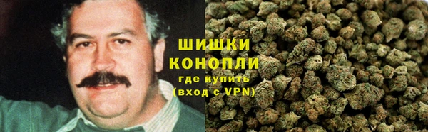 ГАЛЛЮЦИНОГЕННЫЕ ГРИБЫ Арсеньев