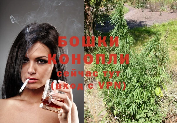 ГАЛЛЮЦИНОГЕННЫЕ ГРИБЫ Арсеньев