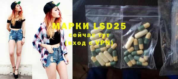 ГАЛЛЮЦИНОГЕННЫЕ ГРИБЫ Арсеньев