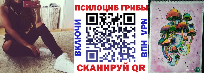 Псилоцибиновые грибы Psilocybe цены Протвино